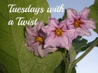 TuesdayWithATwistLOGO