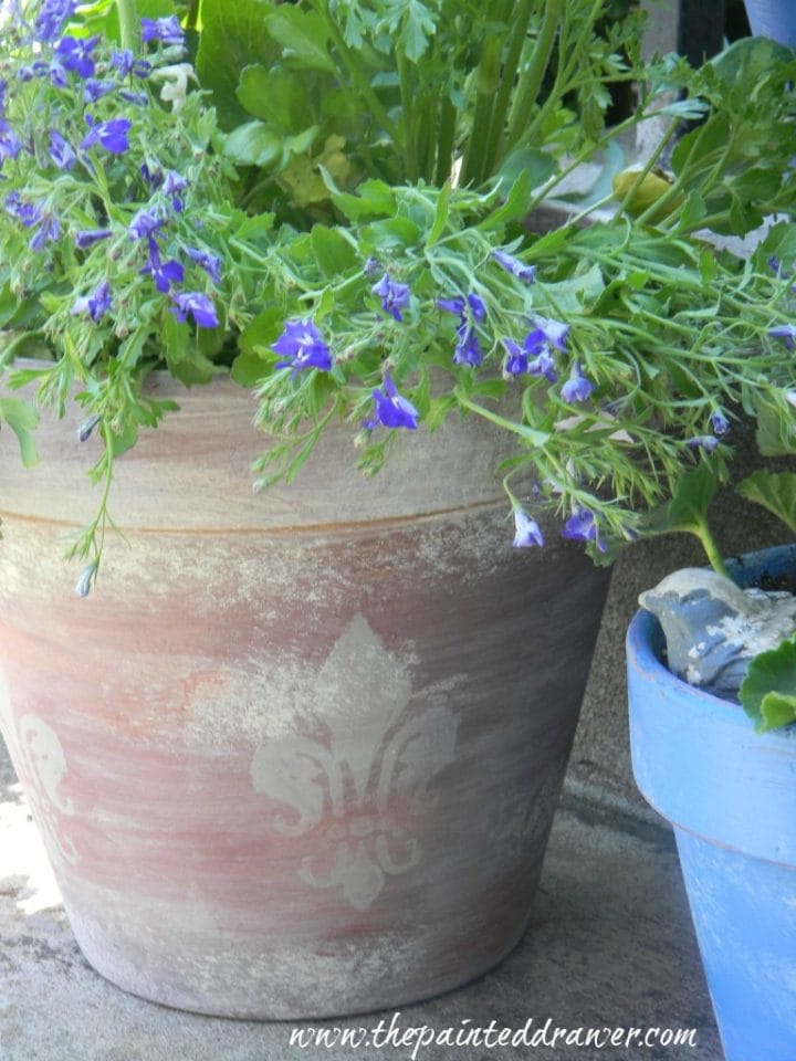 Creating Vintage, French Flower Pots