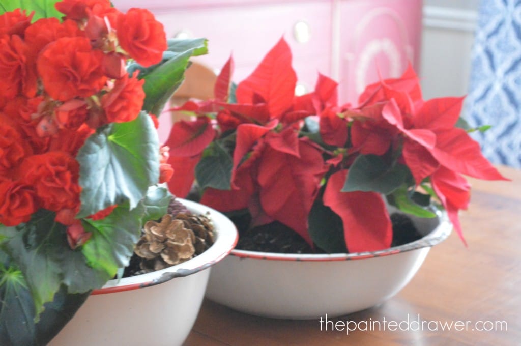 Vintage Enamelware Christmas Arrangement