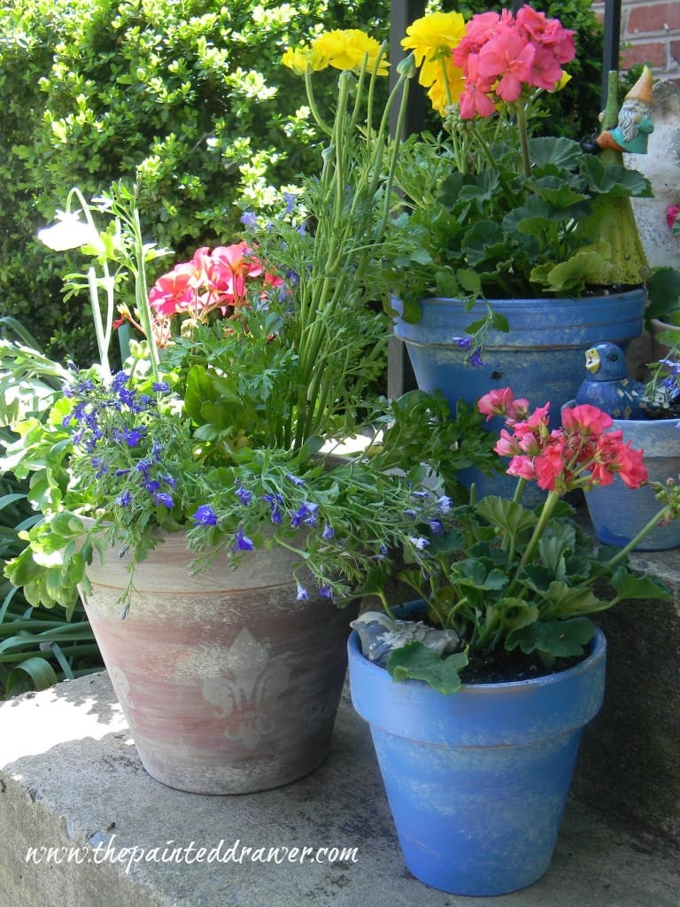 painted flower pots