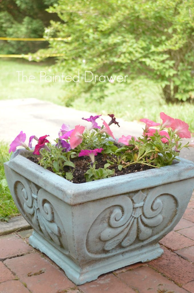 Concrete Planter5