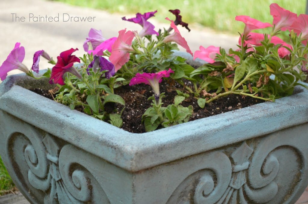 Concrete Planter DIY