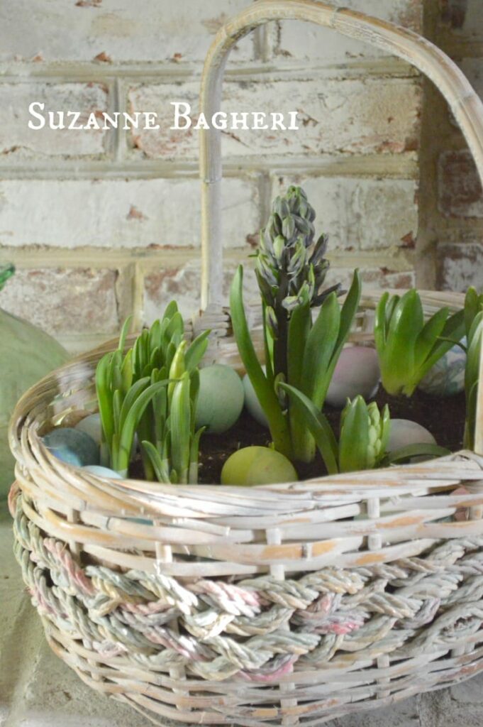 Vintage Easter Basket Bulb Garden for Spring