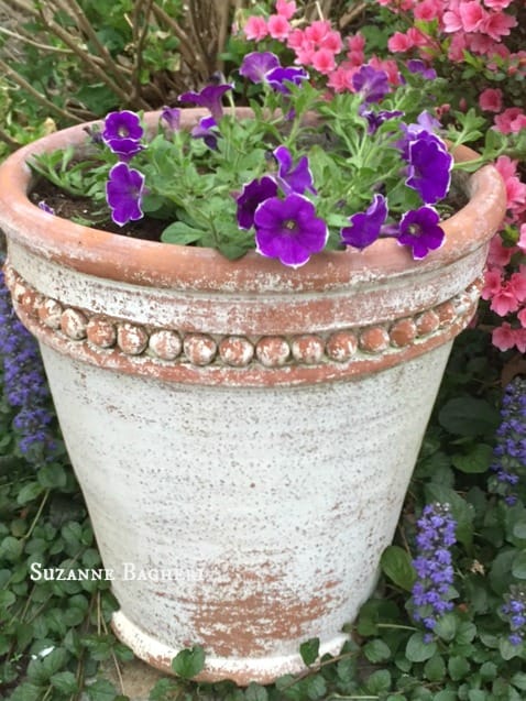 Painted Flower Pot