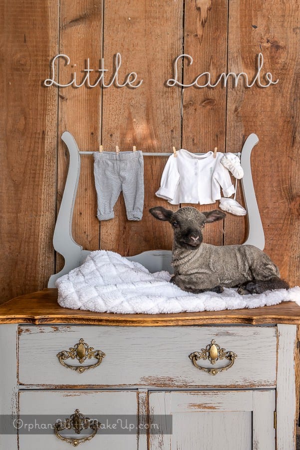 LIttle Lamb Dresser by Orphans with Makeup featured by The Painted Drawer