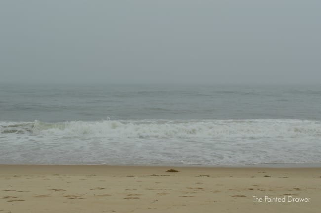 amagansett beach