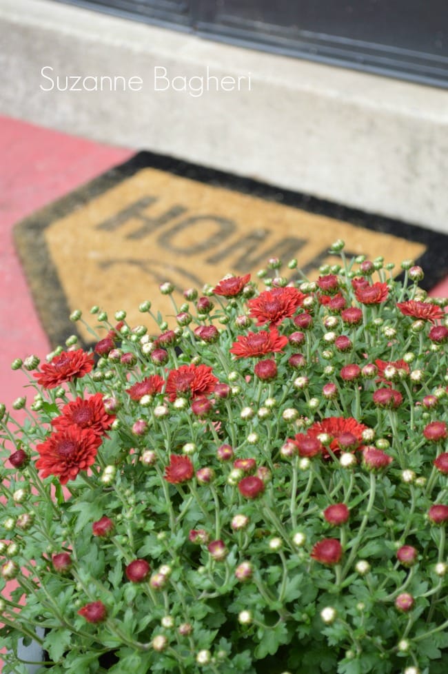 Home Plate front door mat