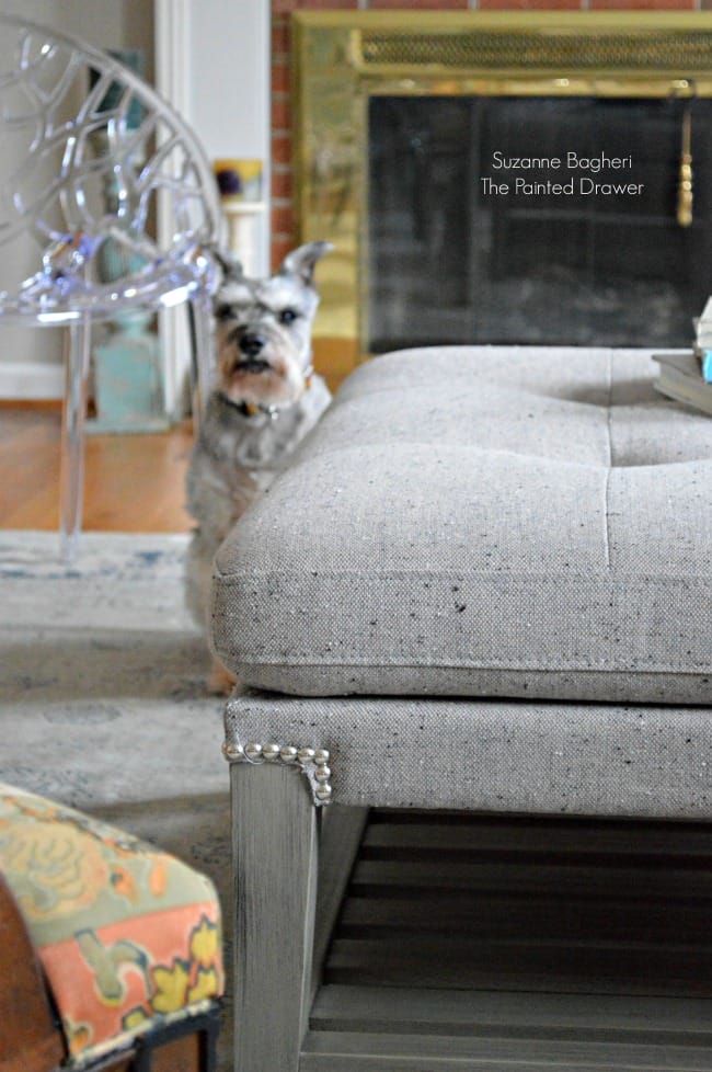 Living Room Gray Ottoman