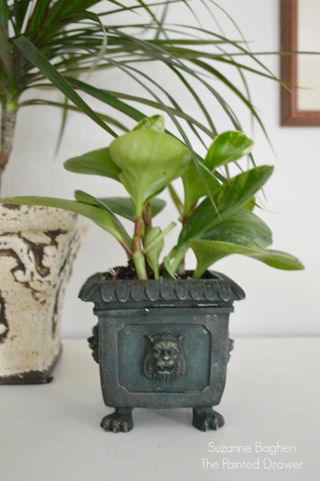 vintage planter