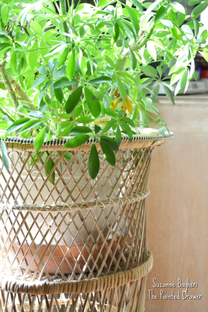 Boho Chic Vintage Planter