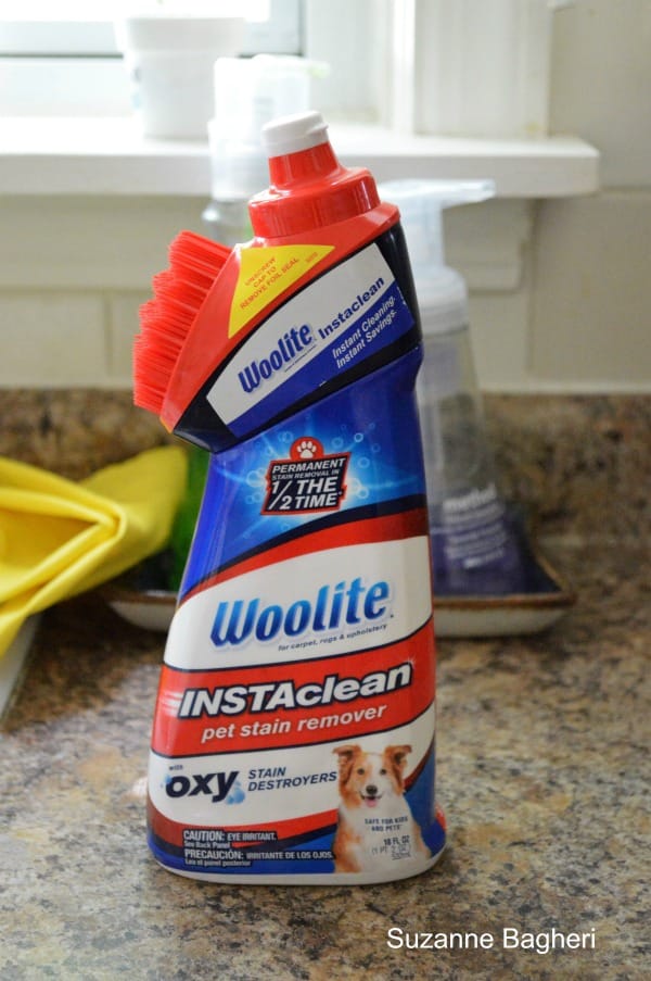 Woolite InstaClean