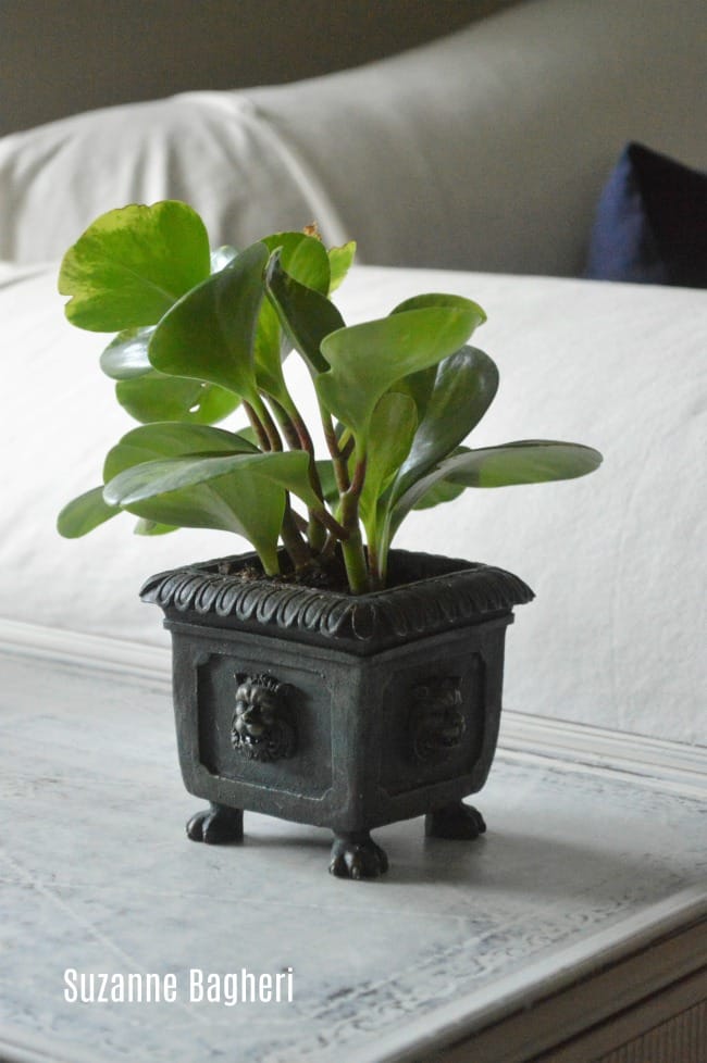 vintage planter