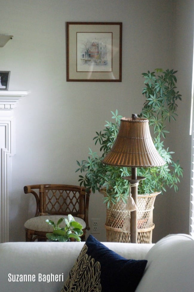 vintage rattan in living room
