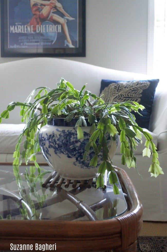 vintage rattan coffee table