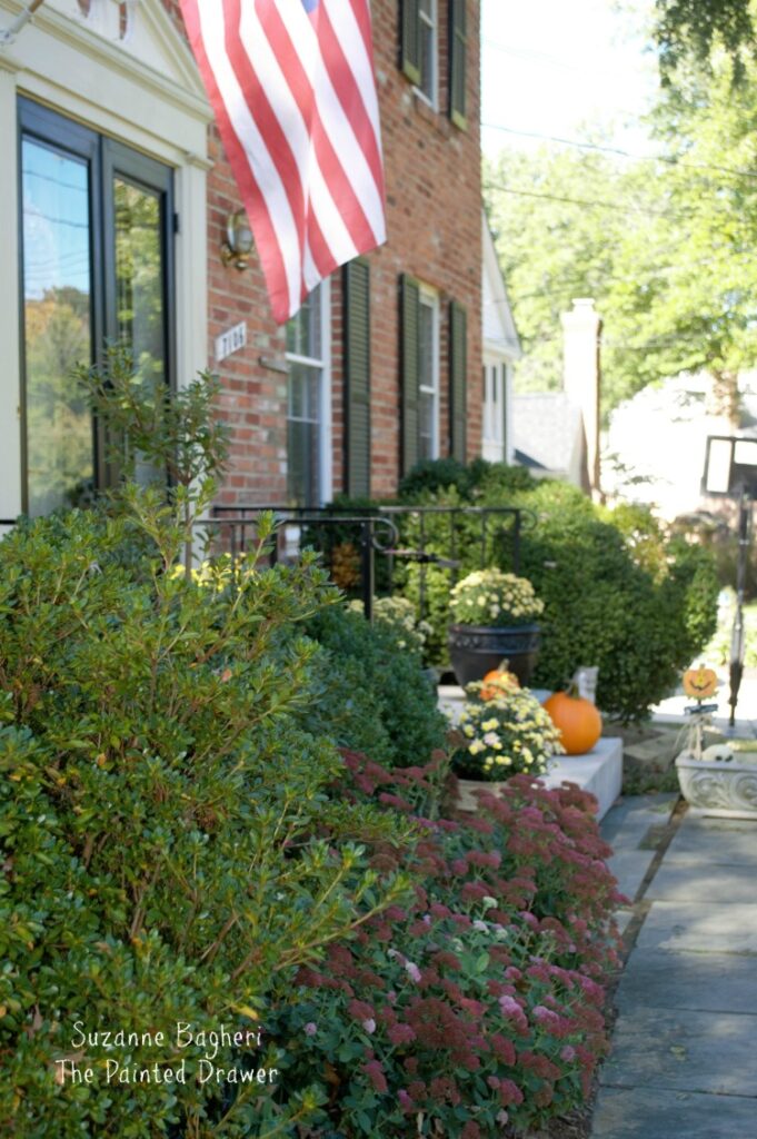 Front Fall Steps Fall Garden Color