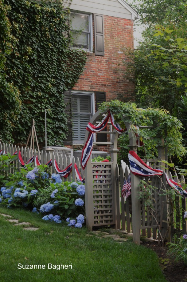 Fourth of July Garden