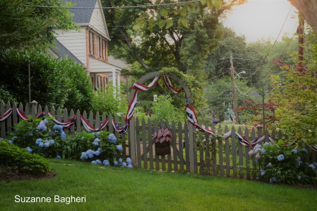 Fourth of July Garden